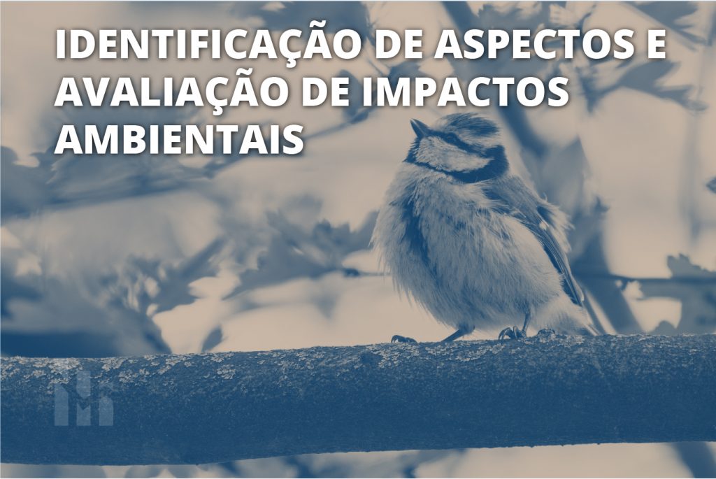 Identificação de aspectos e avaliações de impactos ambientais